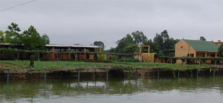 Hiệu quả từ những mô hình chăn nuôi mới