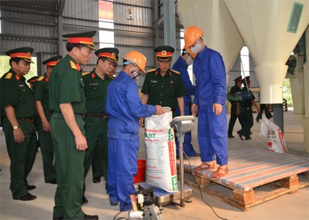 Tự sản xuất thức ăn chăn nuôi