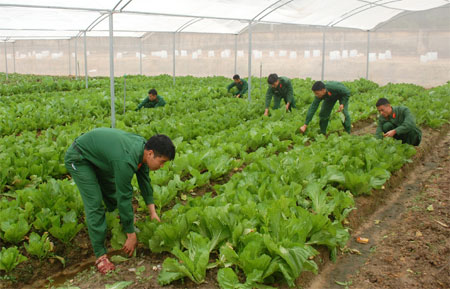 Chủ động, sáng tạo trong bảo đảm