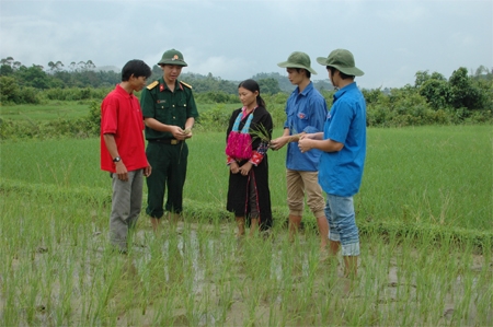 Lan tỏa nhiều mô hình 