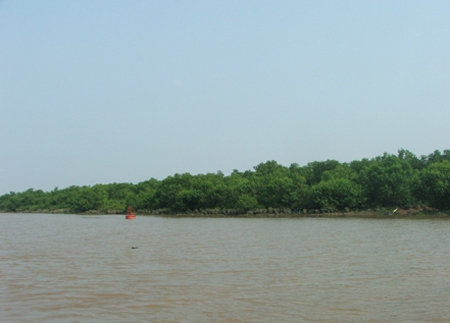 2,05 triệu USD cho phát triển bền vững hệ sinh thái rừng ngập mặn Thái Bình