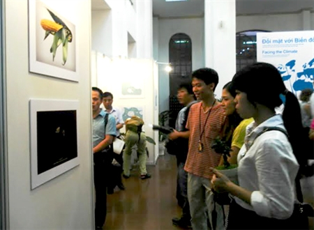 Triển lãm tranh “Đối mặt với biến đổi khí hậu”