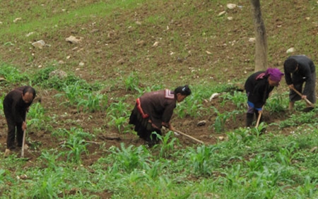 Phấn đấu giảm  tỷ lệ hộ nghèo dân tộc thiểu số 3-4%/năm