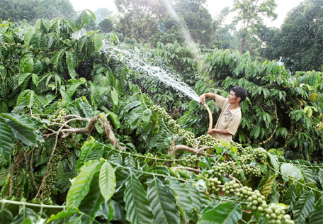 Người dân Gia Rai đời đời ơn Đảng