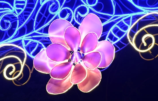 Cận cảnh bông hoa đào trên các khung đèn hoa dọc phố Phan Đình Phùng.