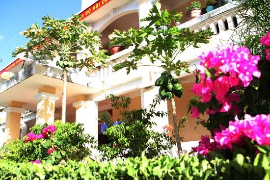 Ở Trường Sa, hoa giấy được trồng khá nhiều và có đủ các màu sắc. Hoa có mặt ở nhiều địa điểm, làm cho các đảo, điểm đảo ở Trường Sa luôn đẹp và lung linh.