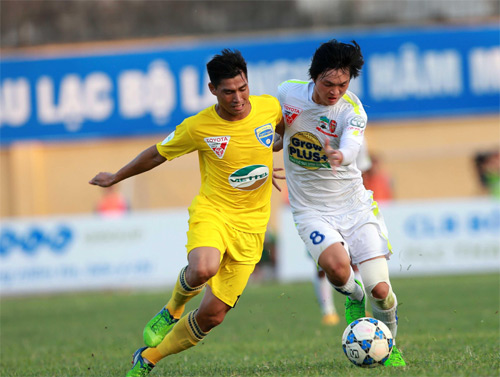 Bay đi những cánh én cao nguyên