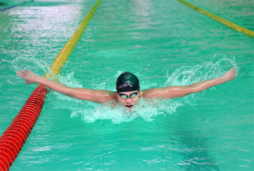 Chuyện khổ luyện của kình ngư Ánh Viên