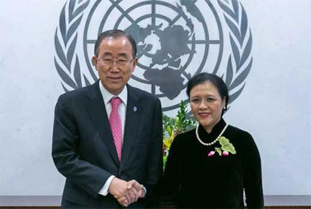 Năm lịch sử với Phái đoàn thường trực Liên tại hợp quốc