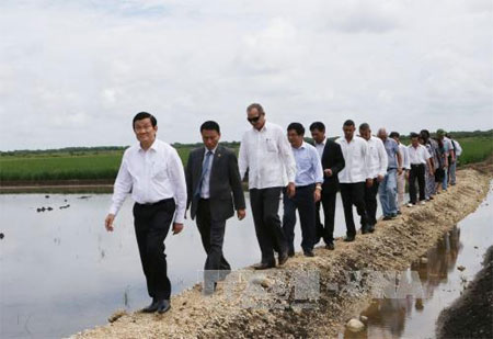 Chủ tịch lội ruộng