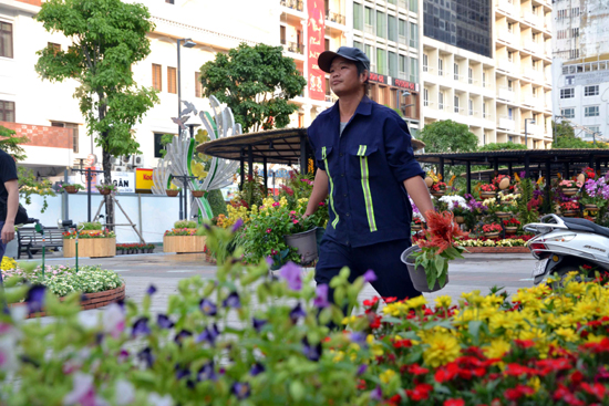 Đường hoa Nguyễn Huệ rực rỡ trước giờ khai mạc