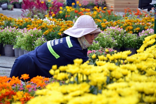 Các công nhân đang tất bận hoàn thiện những công đoạn cuối.