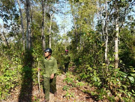 Giữ rừng ngày Tết ở Buôn Ja Wầm