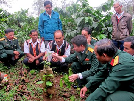 Đổi thay ở Khu kinh tế - quốc phòng Quảng Sơn