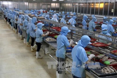 KHƠI THÔNG THỊ TRƯỜNG