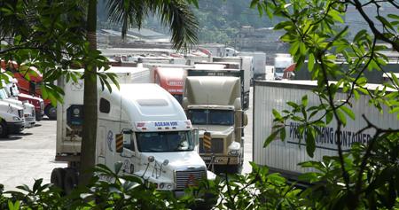 “Giải cứu” dưa hấu