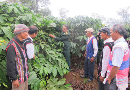 Dân vận khéo ở Công ty Cà phê 15