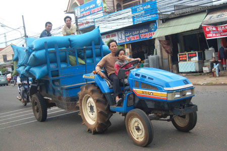 Cần có giải pháp kiên quyết và đồng bộ