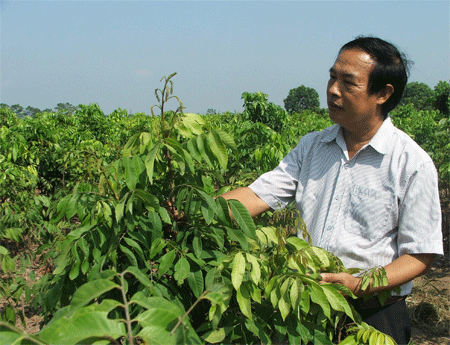 Ông Tiến Ích làm điều hữu ích