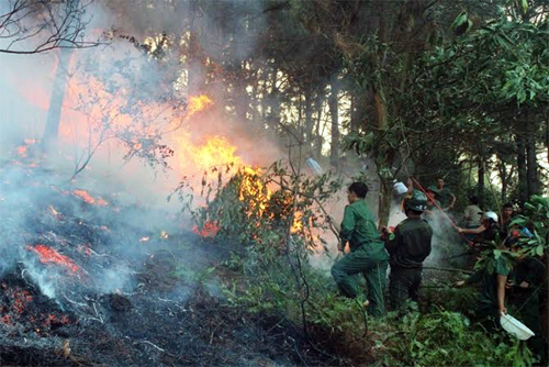 BTL Thủ đô Hà Nội: Huy động gần 500 cán bộ, chiến sĩ tham gia chữa cháy rừng