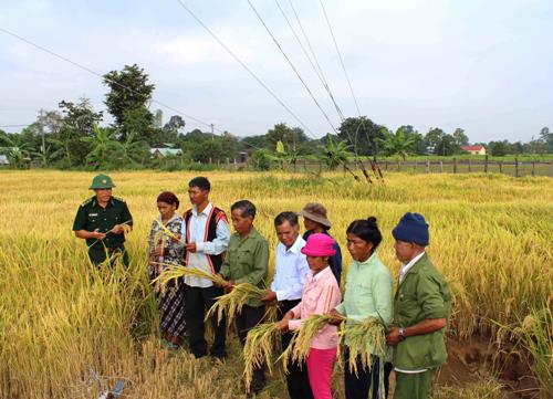 Lòng dân yên, biên giới vững