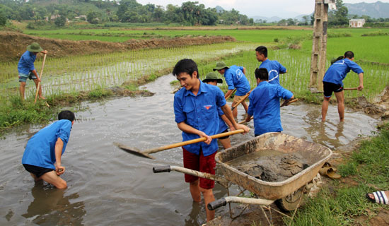 “Tình nguyện đi, tình yêu sẽ đến”