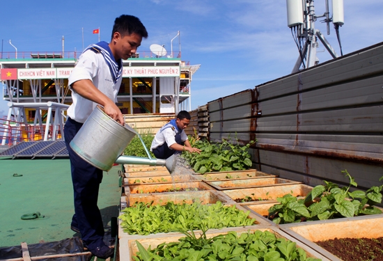 Khu vườn của Nhà giàn DK1/15.