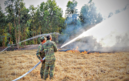 Những người bảo vệ “lá phổi xanh” vùng tứ giác Long Xuyên