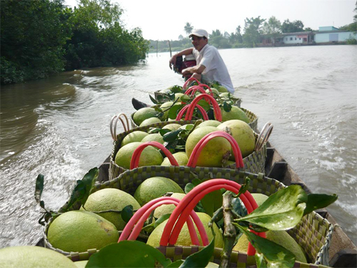 NÂNG CAO VỊ THẾ THƯƠNG HIỆU VIỆT
