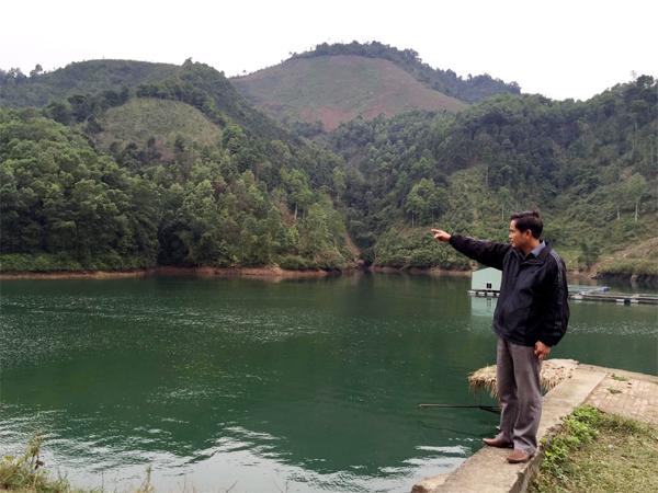 Khẩn trương điều tra, xử lý các đối tượng lừa đảo thu gom sổ đỏ đất rừng