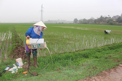 Hiểm họa rình rập từ vỏ bao bì thuốc bảo vệ thực vật