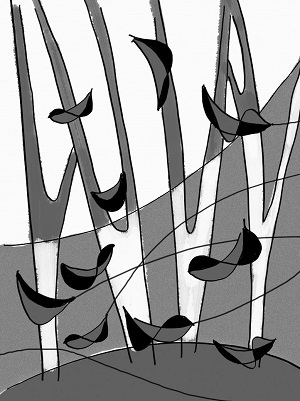 Vì sao le lói giữa tinh cầu