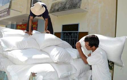 Xuất cấp không thu tiền hơn 2.500 tấn gạo cho tỉnh Nghệ An