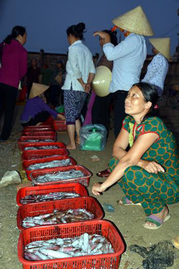 Chợ cá bắt đầu họp.