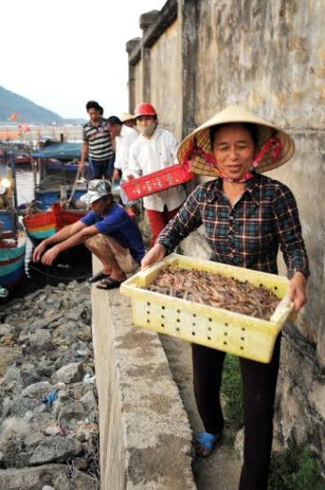 Những sọt cá chuyển từ tàu xuống bến.