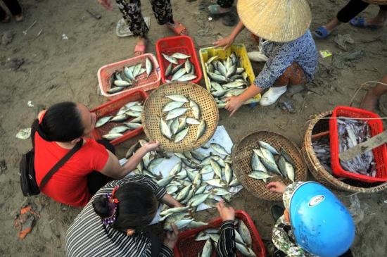 Nhộn nhịp Cửa Sót