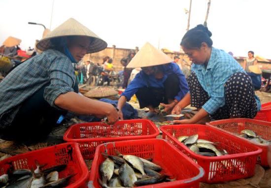 Chợ cá bắt đầu sôi động.