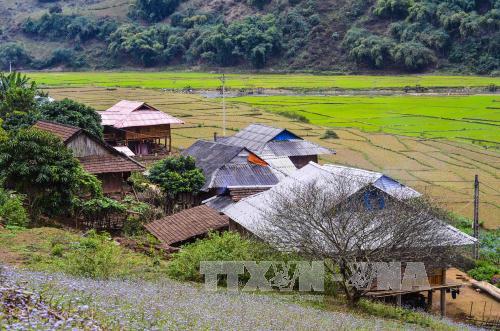 Sức sống mới trên vùng đất chiến khu lịch sử 