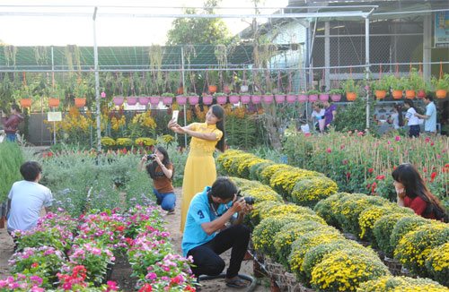 Đánh thức tiềm năng du lịch Đồng Tháp
