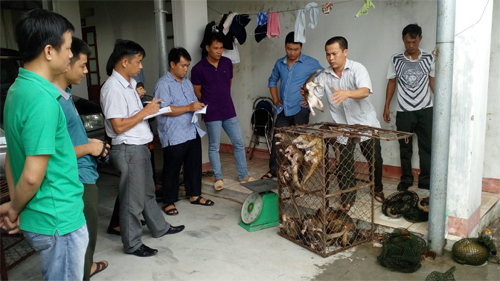 Nhiều khó khăn, bất cập trong bảo tồn động vật hoang dã