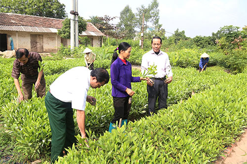 Bài 3: Phát huy vai trò đi đầu, làm trước của cán bộ (Tiếp theo kỳ trước)
