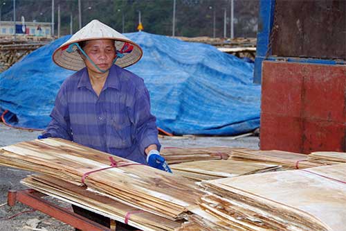 Nơi nào khó, có nữ trưởng thôn
