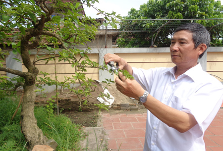 Từ chuyện nuôi ngỗng…