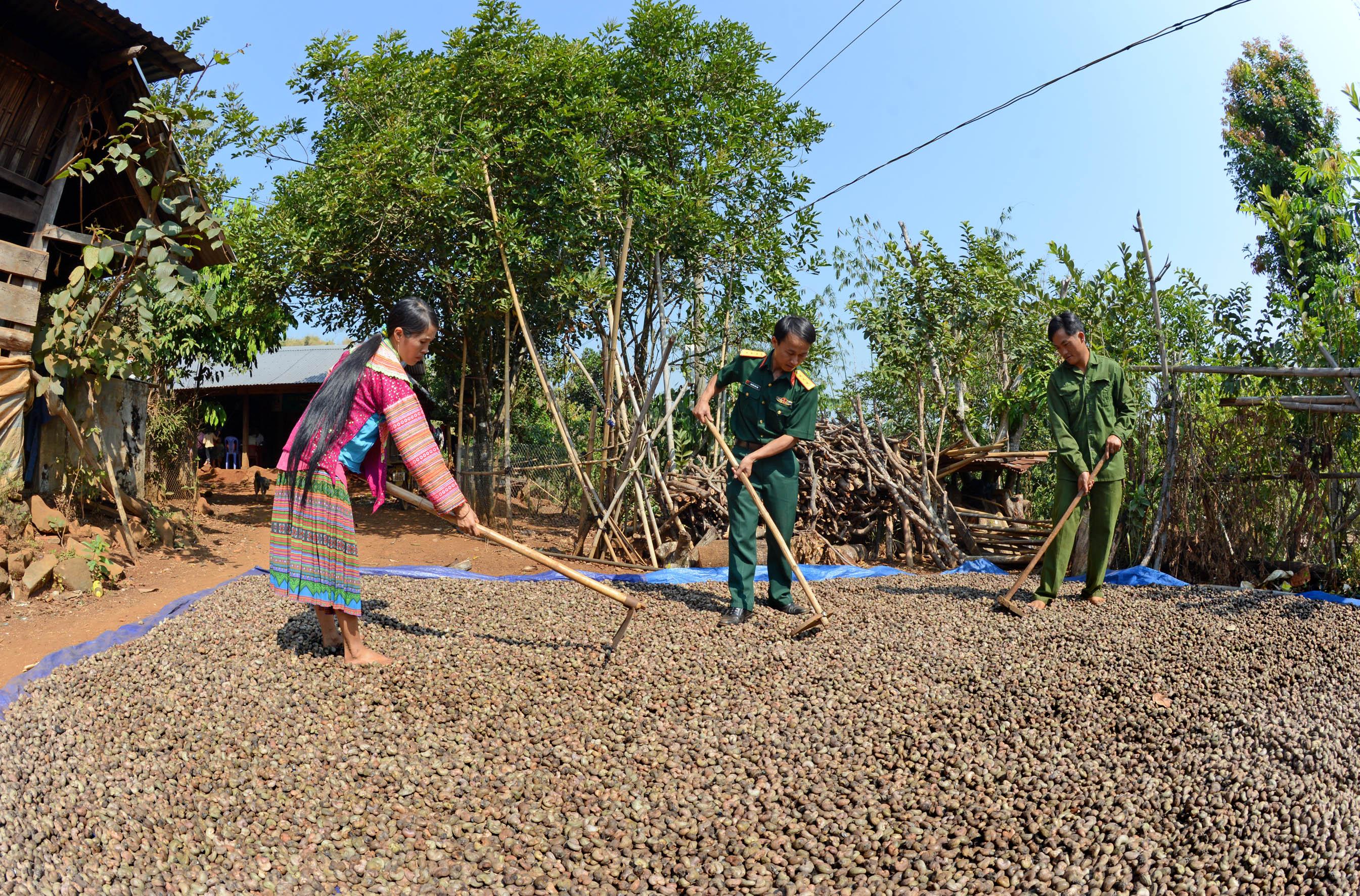 Bài 1: Người yêu đất, đất yêu cây
