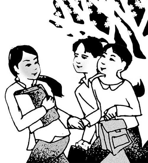 Mận tam hoa sau cổng trời Mường Lống
