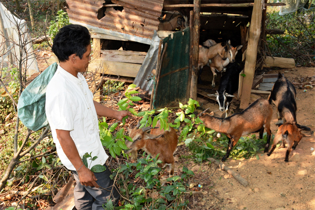 Dân an cư, biên giới an bình