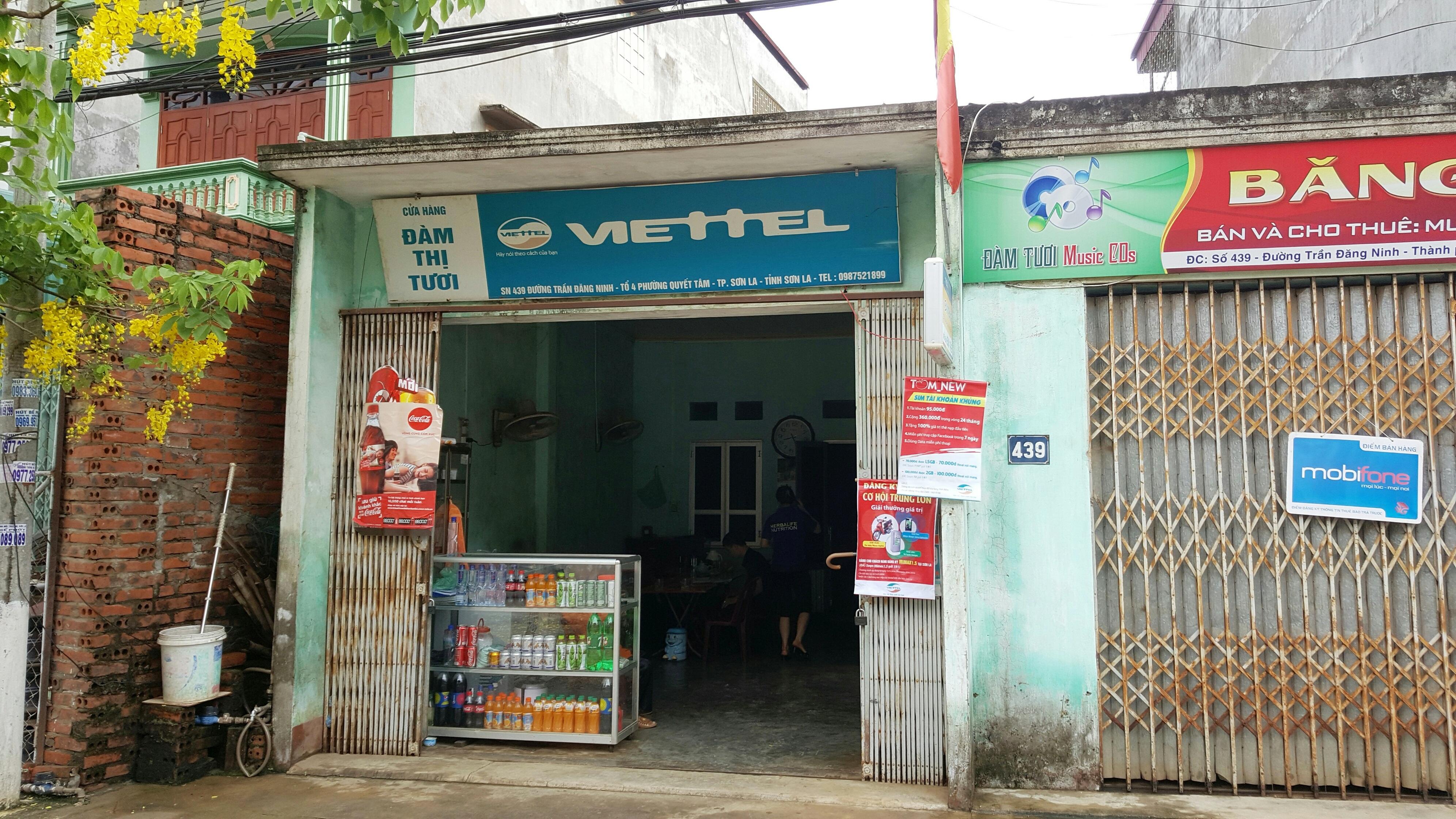 Sai phạm trong cấp 