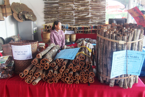 ĐẨY MẠNH QUẢNG BÁ, TIÊU THỤ SẢN PHẨM ĐẶC TRƯNG MIỀN NÚI 
