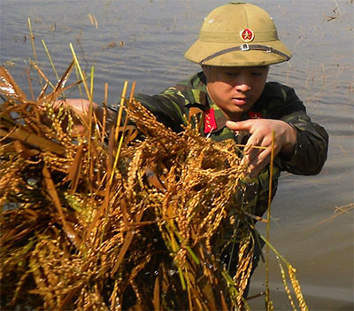 “Thư sinh” thạo việc nhà nông
