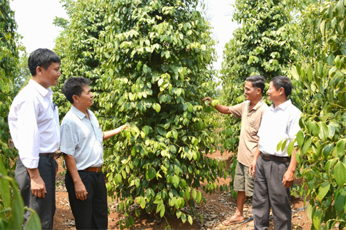 Bài 3: Cán bộ nêu gương, chủ trương thành hiện thực (Tiếp theo và hết)
